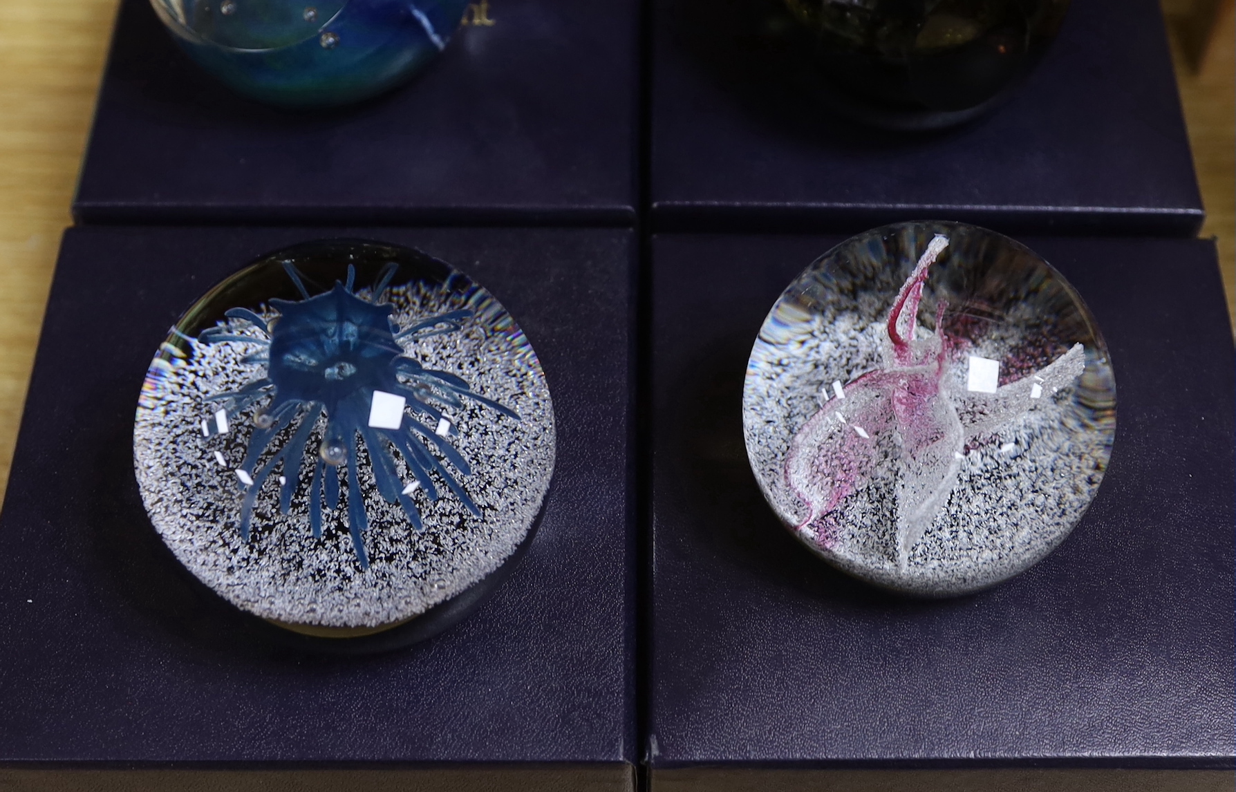 Ten Caithness paperweights including Viking Flame, limited edition 216/750 and Eterna, 175/500, each with boxes, the largest 7.5cm high
